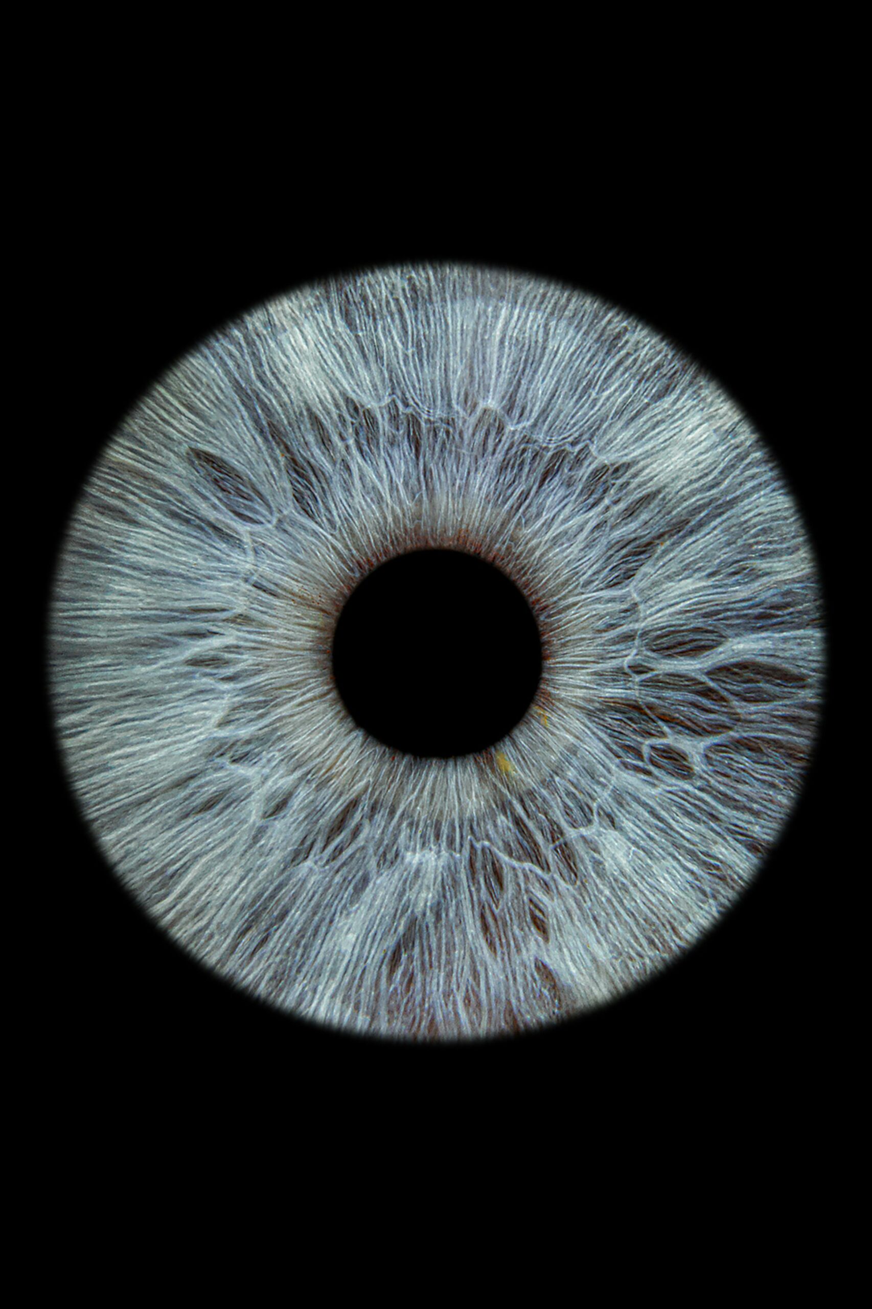 Auge Optiker